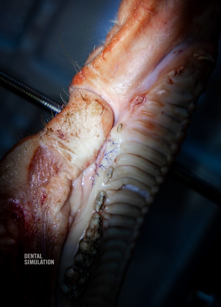 Dr. Mihnea Cafadaru Course Photo Gallery