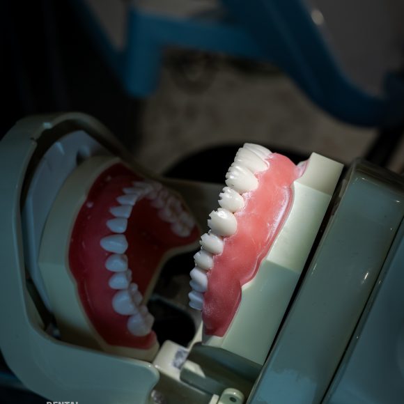 Dr. Ionut Branzan Photo Gallery Course