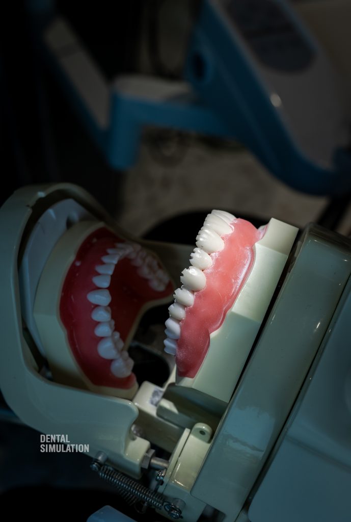 Dr. Ionut Branzan Photo Gallery Course