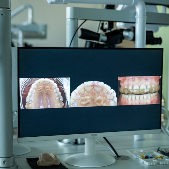 Dr. Ionut Branzan Photo Gallery Course