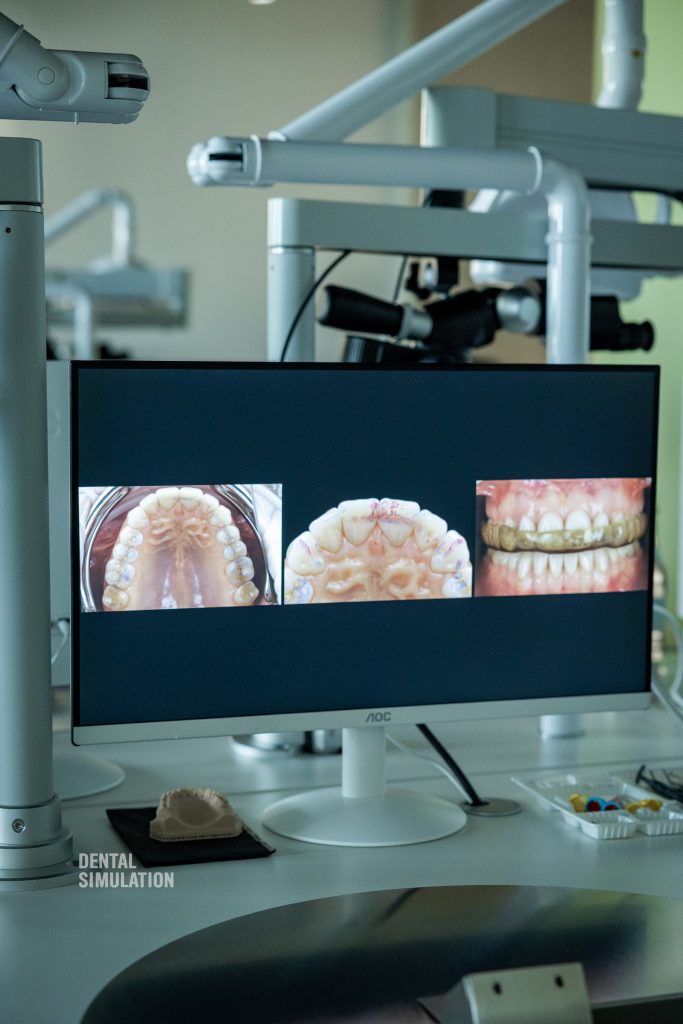 Dr. Ionut Branzan Photo Gallery Course
