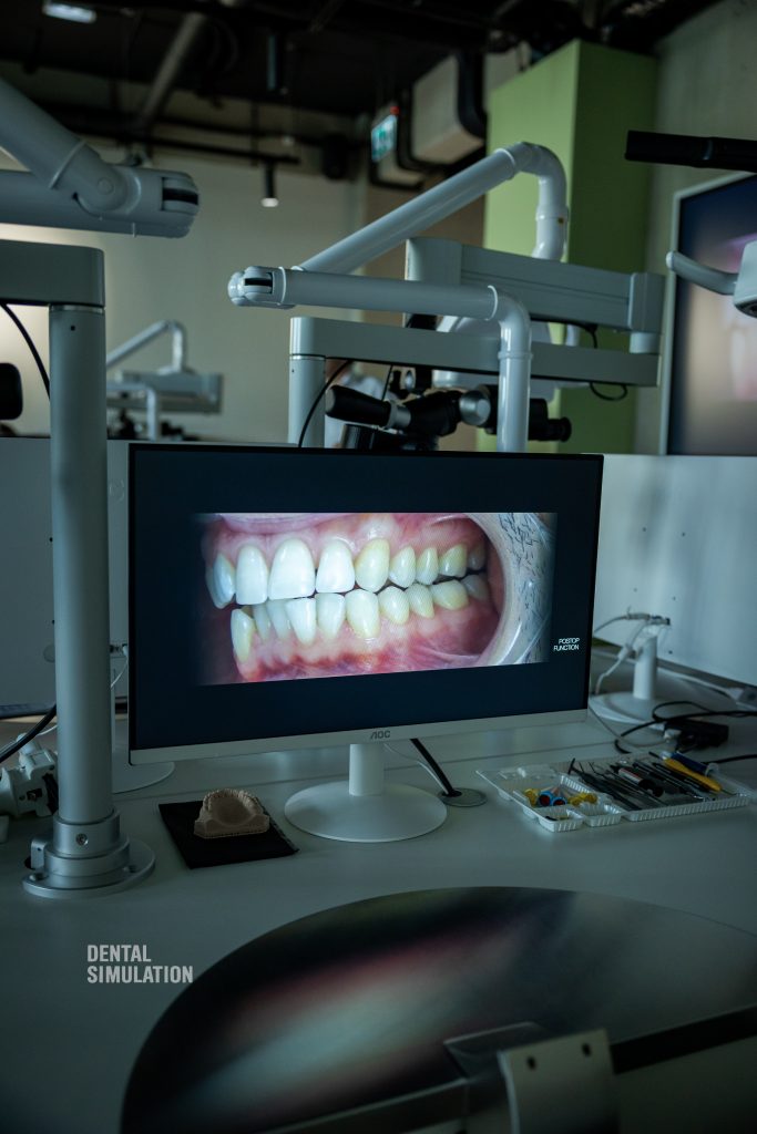Dr. Ionut Branzan Photo Gallery Course