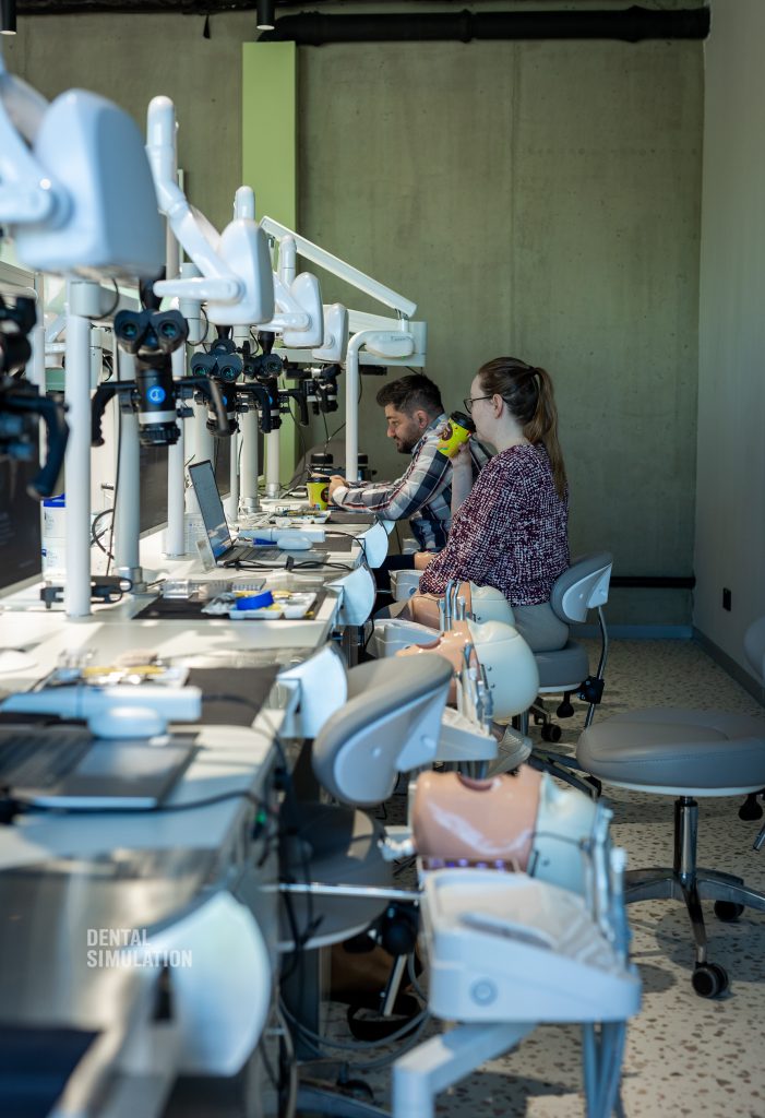 Dr. Ionut Branzan Photo Gallery Course