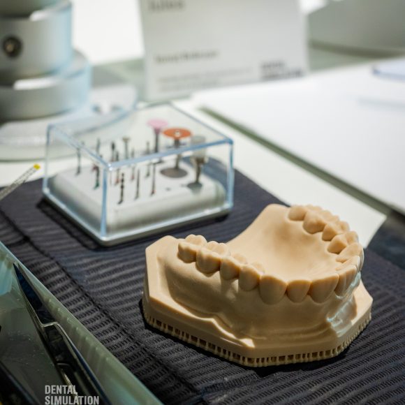 Dr. Ionut Branzan Photo Gallery Course