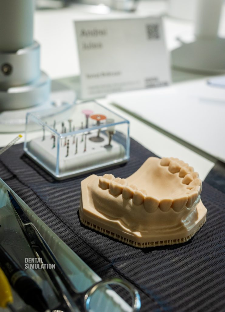 Dr. Ionut Branzan Photo Gallery Course