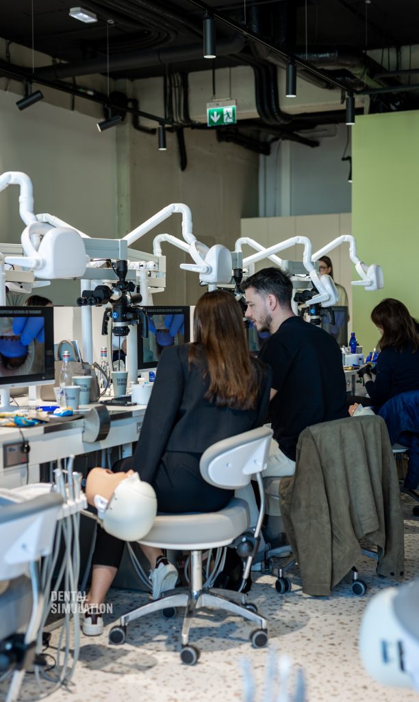Dr. Ionut Branzan Photo Gallery Course
