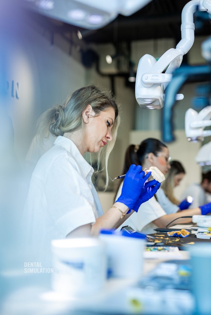 Dr. Ionut Branzan Photo Gallery Course
