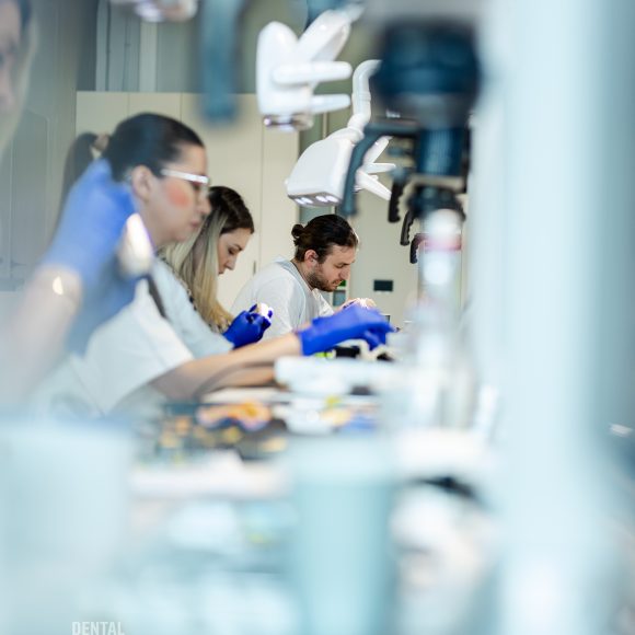 Dr. Ionut Branzan Photo Gallery Course