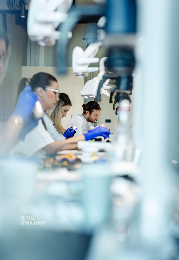 Dr. Ionut Branzan Photo Gallery Course