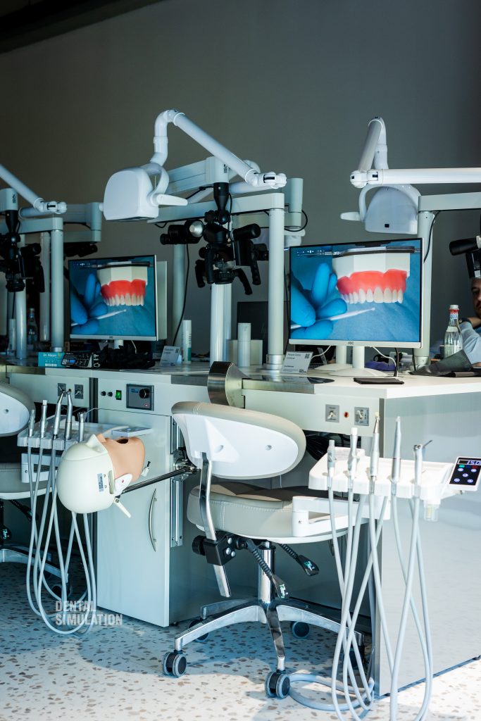 Dr. Ionut Branzan Photo Gallery Course