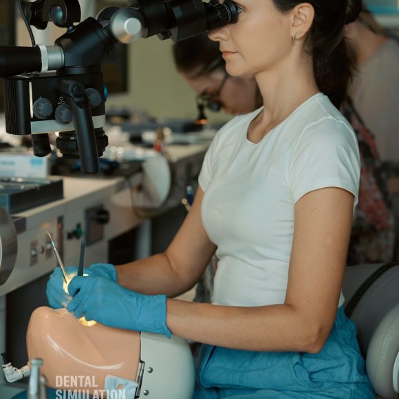 Dr. Marius Bud Course Photo Gallery